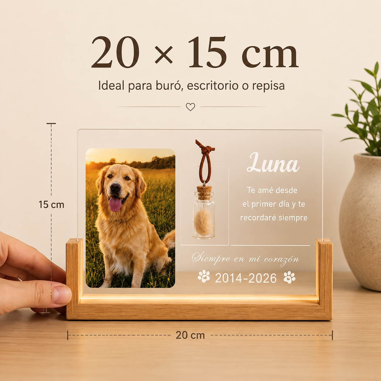 Luz Memorial Personalizada para Mascotas